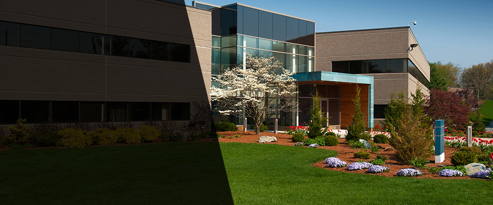 Thomson Landscapers