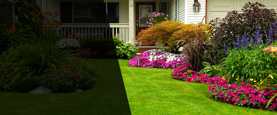 Thomson Landscapers