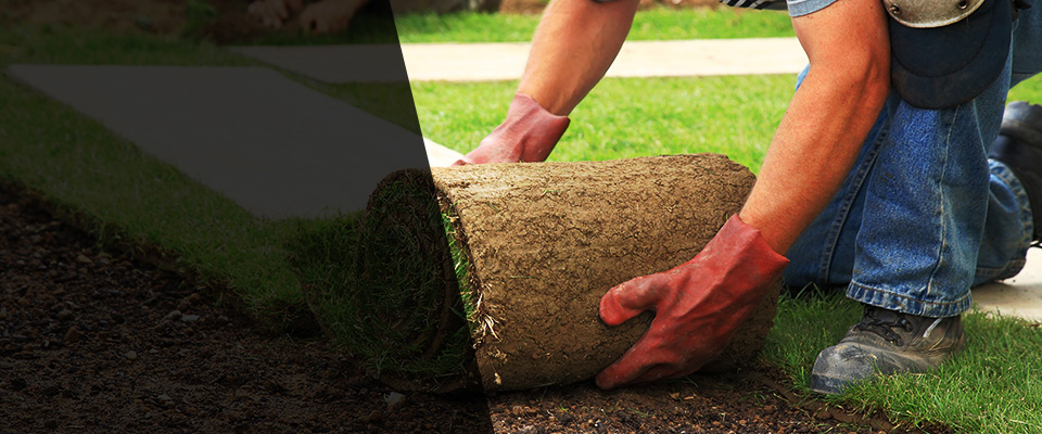 Thomson Landscapers